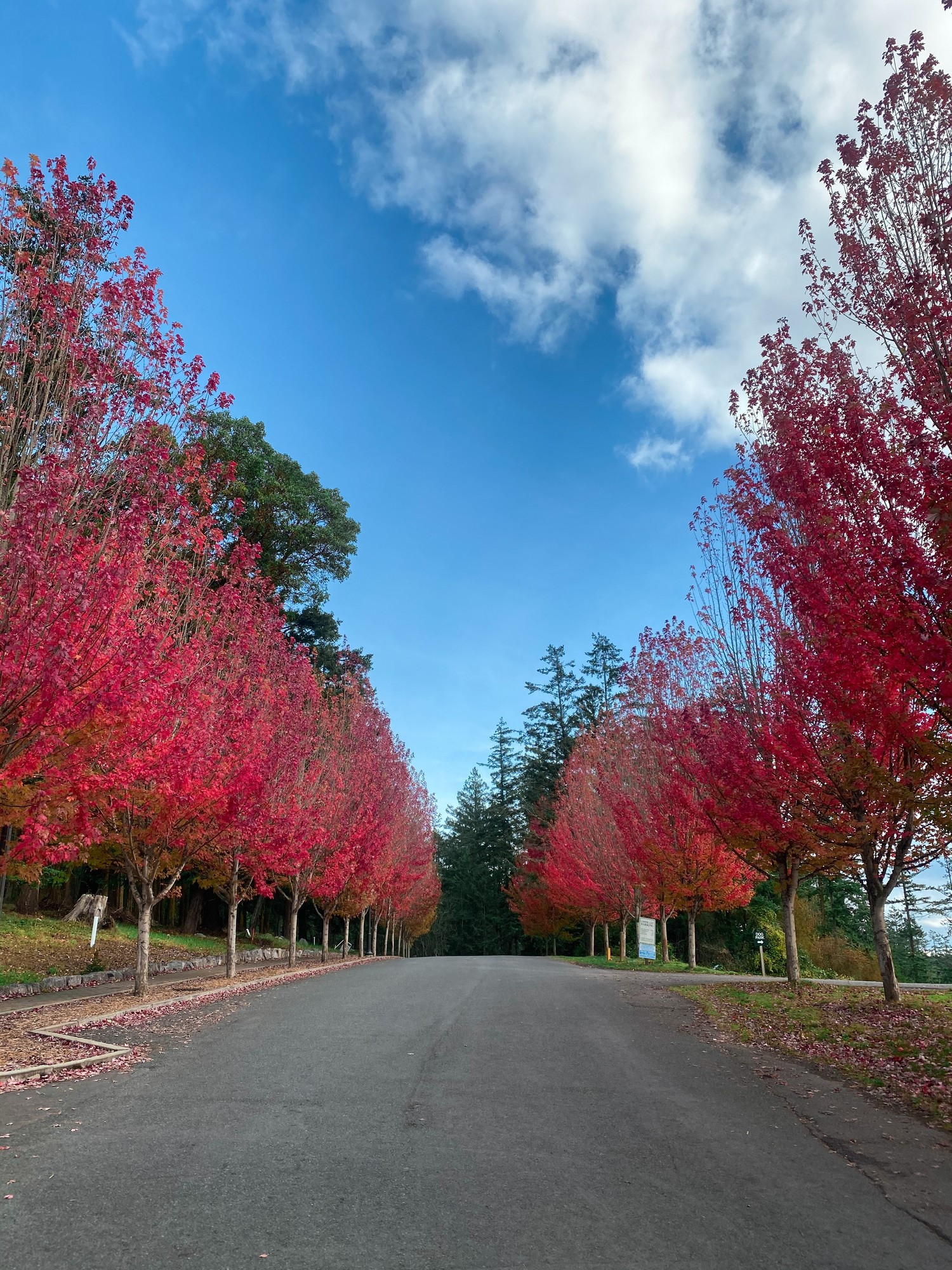 Gallery Roche Harbor Marine Services Friday Harbor Washington