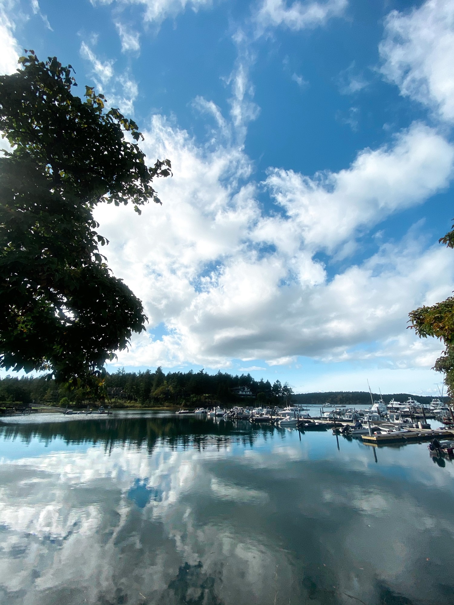 Gallery Roche Harbor Marine Services Friday Harbor Washington